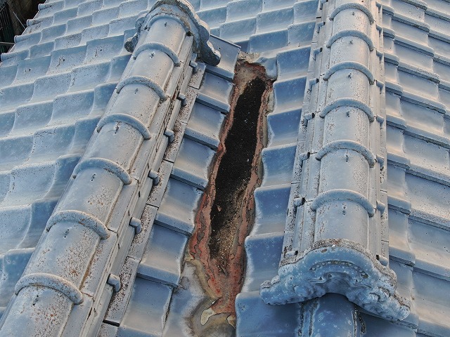 屋根の真ん中を通る谷という金属の通り道の上に溜まった土